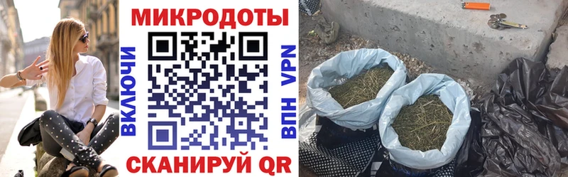 Галлюциногенные грибы мицелий  блэк спрут зеркало  Рославль  наркота 