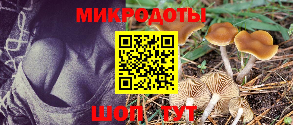 Рославль  Галлюциногенные грибы мицелий  Вход с VPN 