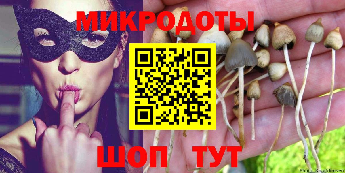 Псилоцибиновые грибы мицелий  Вход с VPN  Рославль 