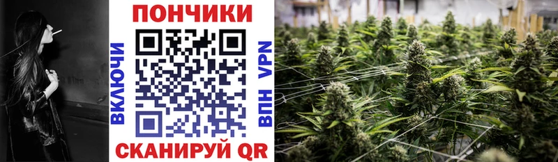 kraken ONION Рославль Конопля план